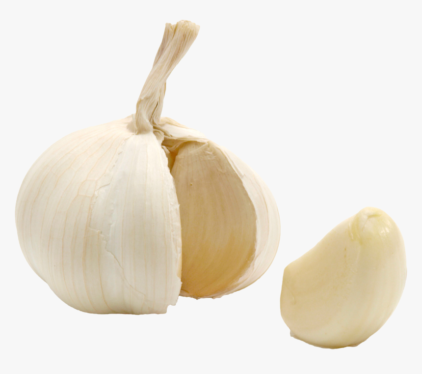 Detail Garlic Transparent Background Nomer 4