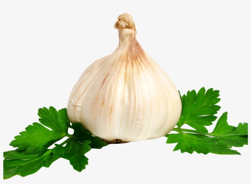 Detail Garlic Transparent Background Nomer 39