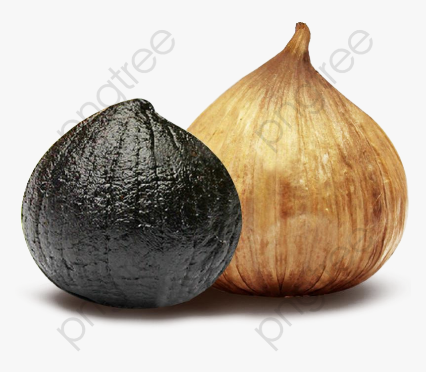 Detail Garlic Transparent Background Nomer 42