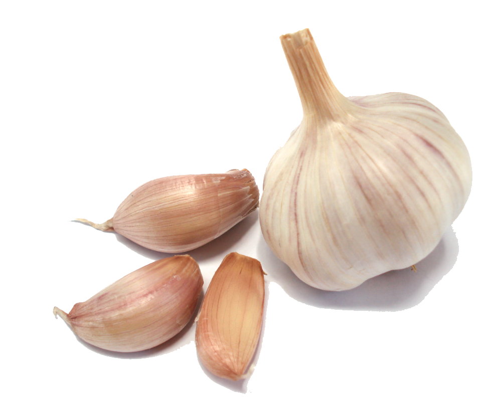 Detail Garlic Transparent Background Nomer 5