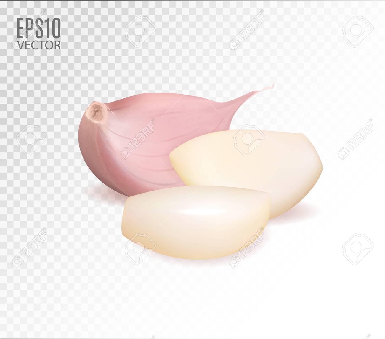 Detail Garlic Transparent Background Nomer 46