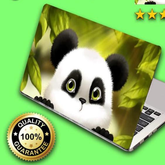 Detail Garskin Panda Nomer 28