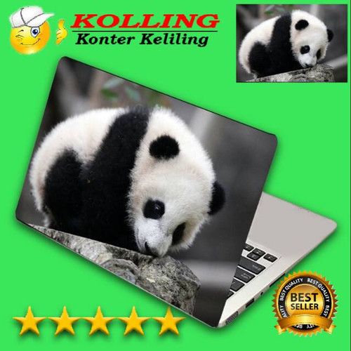 Detail Garskin Panda Nomer 29