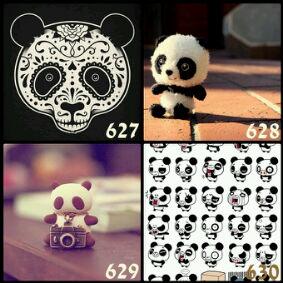 Detail Garskin Panda Nomer 42