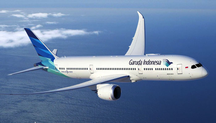 Detail Garuda Indonesia Gambar Pesawat Nomer 14