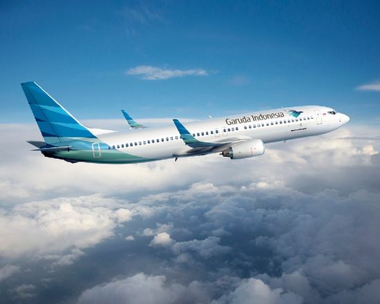 Detail Garuda Indonesia Gambar Pesawat Nomer 49