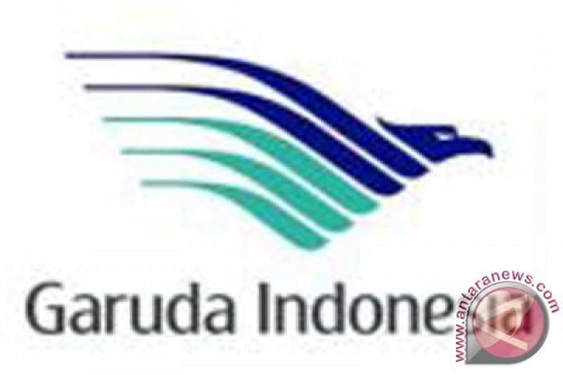 Detail Garuda Indonesia Skyteam Logo Nomer 29