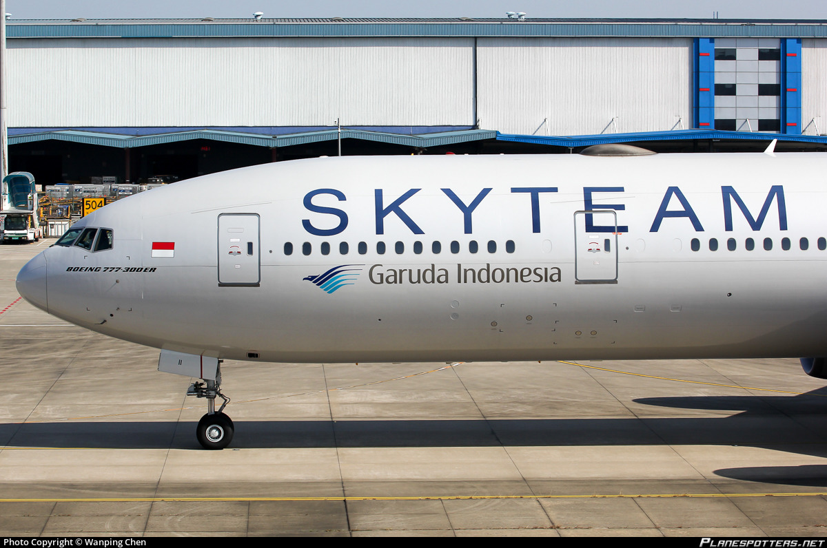 Detail Garuda Indonesia Skyteam Logo Nomer 41