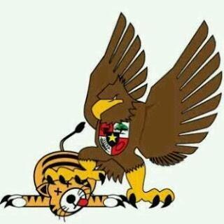 Detail Garuda Vs Harimau Nomer 2