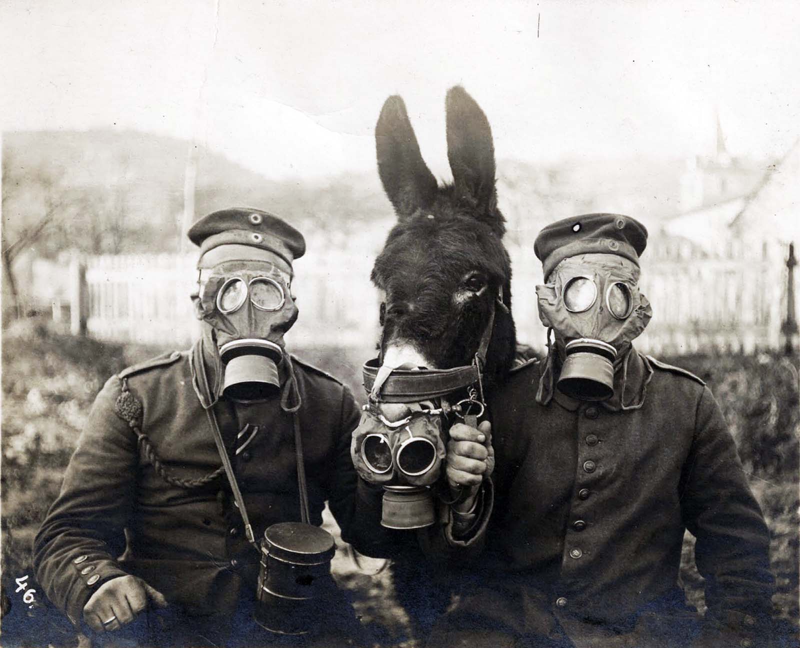 Detail Gas Masks Images Nomer 8