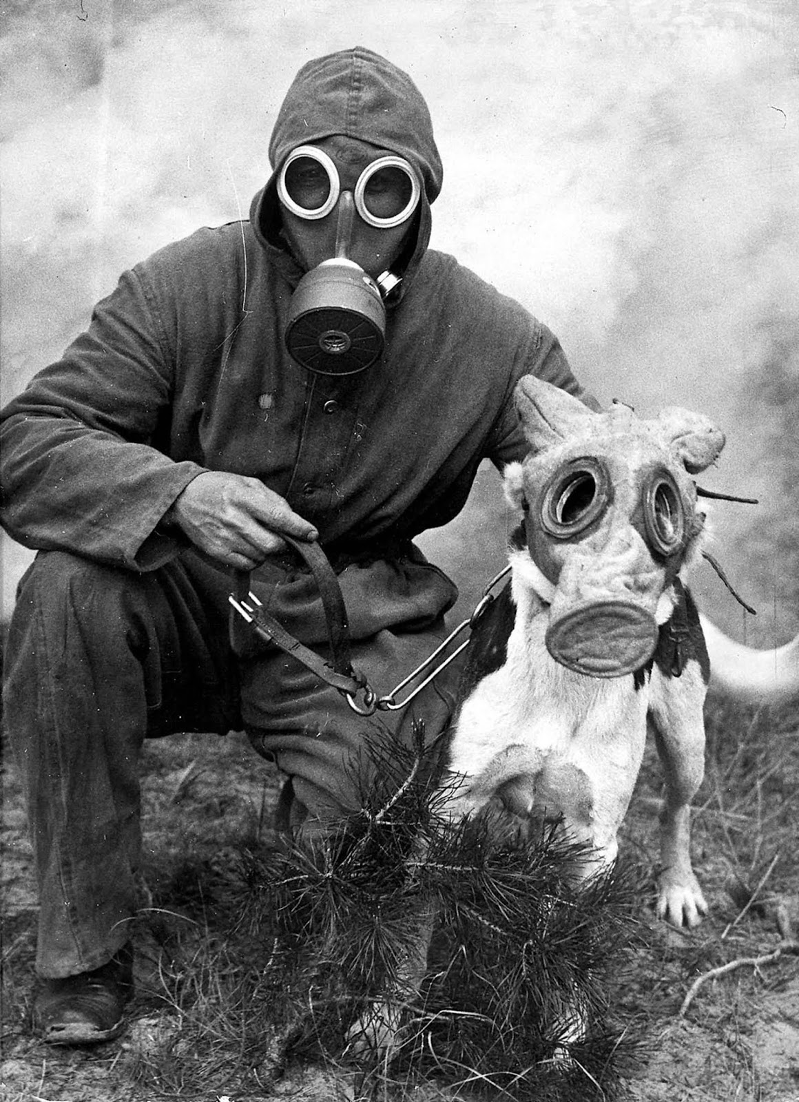 Detail Gas Masks Pictures Nomer 35