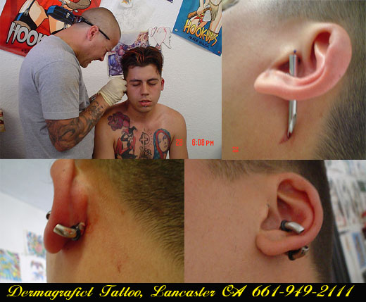 Detail Gauge For Conch Piercing Nomer 11