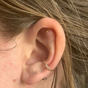 Detail Gauge For Conch Piercing Nomer 54