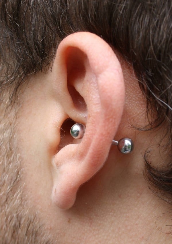 Detail Gauge Of Conch Piercing Nomer 52