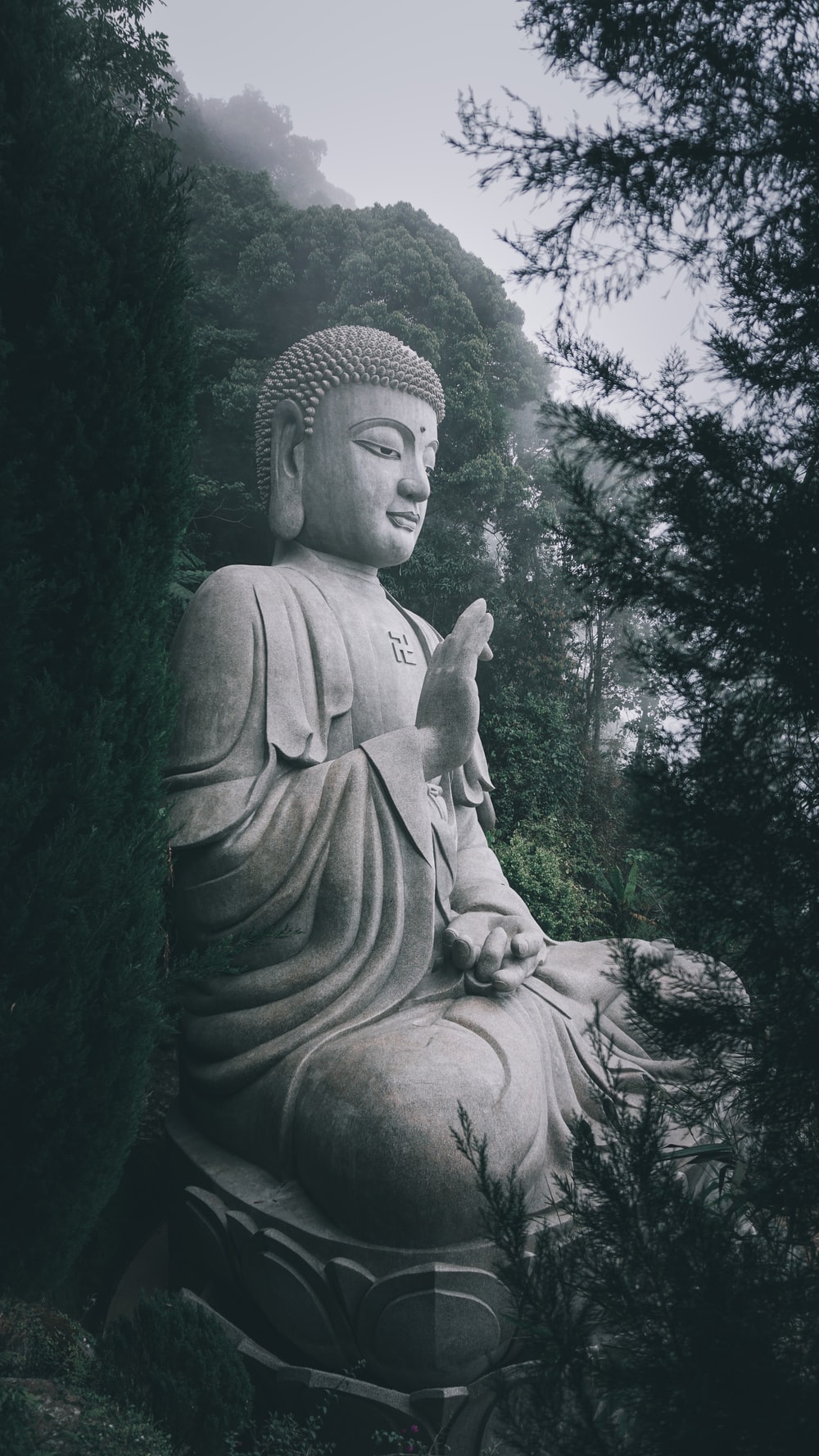 Detail Gautam Buddha Images Nomer 2