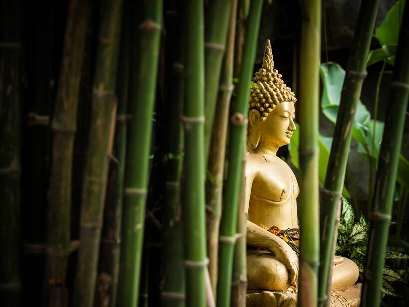 Detail Gautam Buddha Images Nomer 15