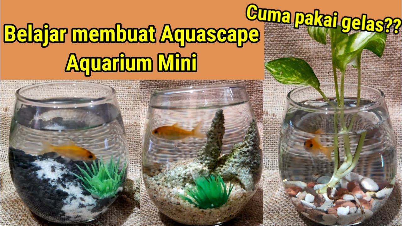 Detail Gelas Aquarium Nomer 11