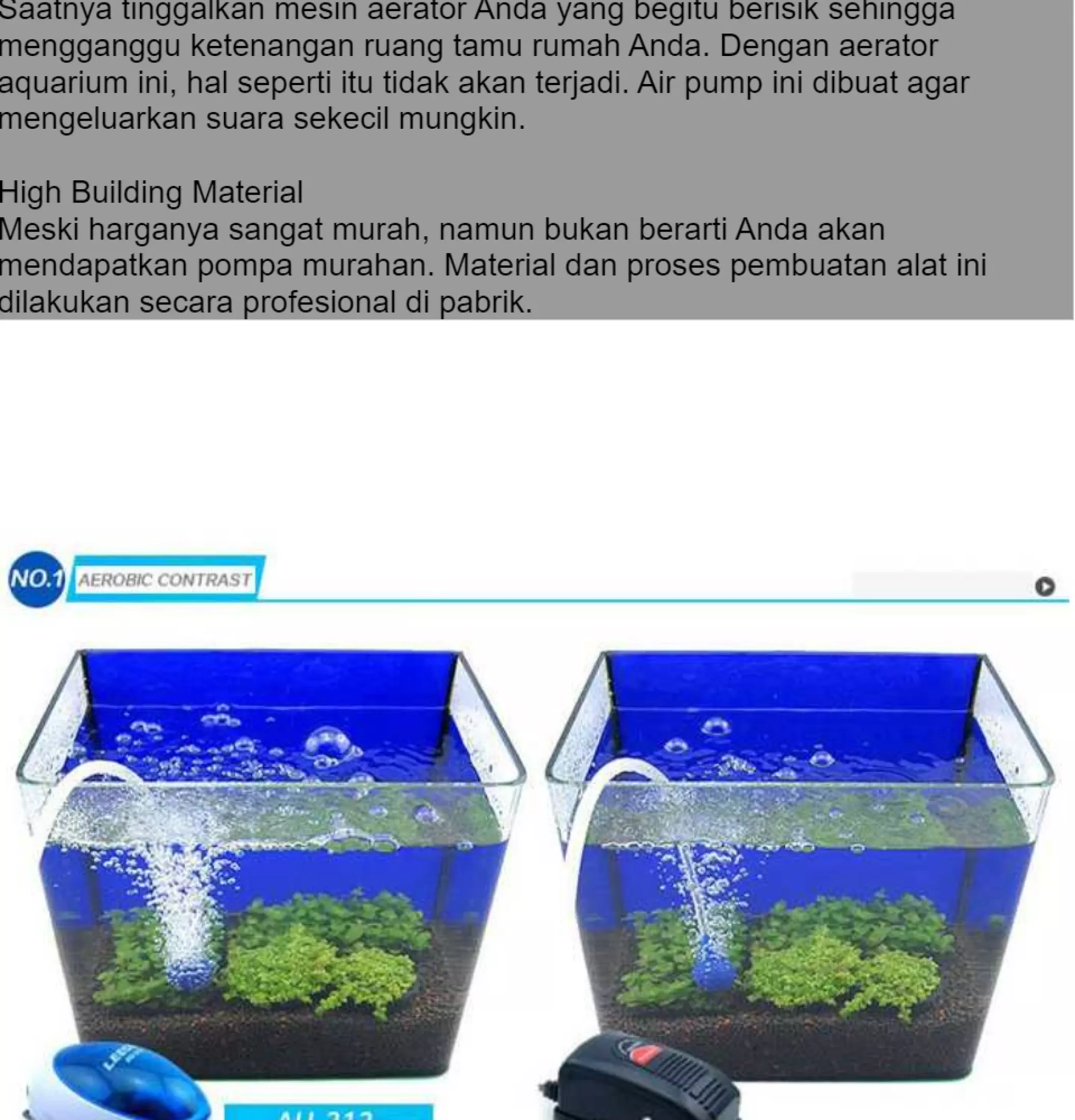 Detail Gelembung Air Aquarium Nomer 54