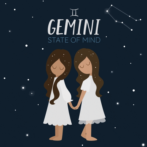 Detail Gemini Pfp Nomer 51