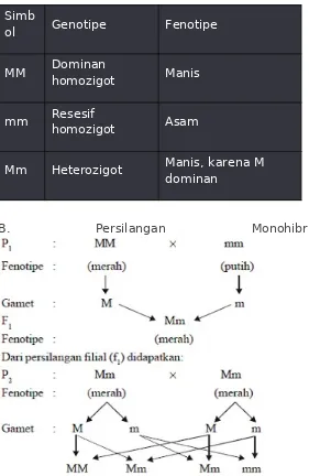 Detail Genotipe Dan Fenotipe Nomer 51