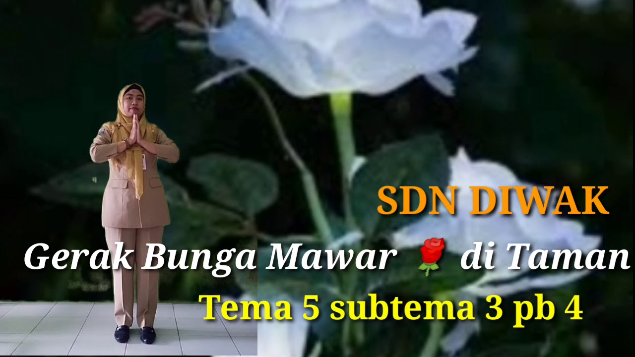 Detail Gerak Bunga Mawar Di Taman Nomer 10