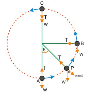 Detail Gerak Melingkar Ppt Nomer 29