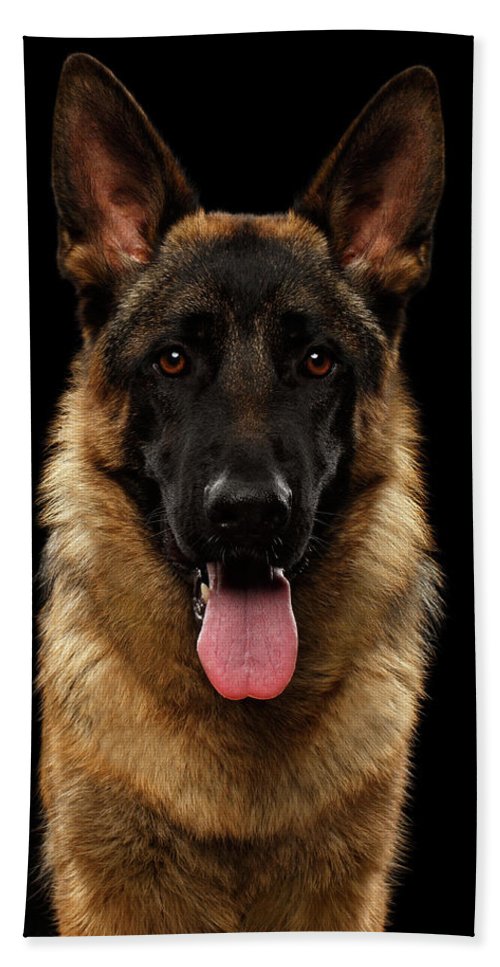 Detail German Shepherd Beach Towel Nomer 16