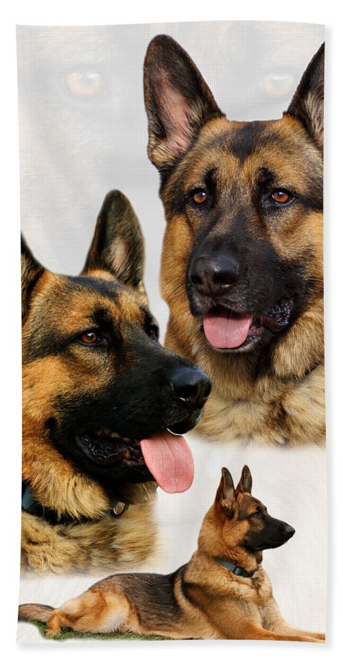 Detail German Shepherd Beach Towel Nomer 4