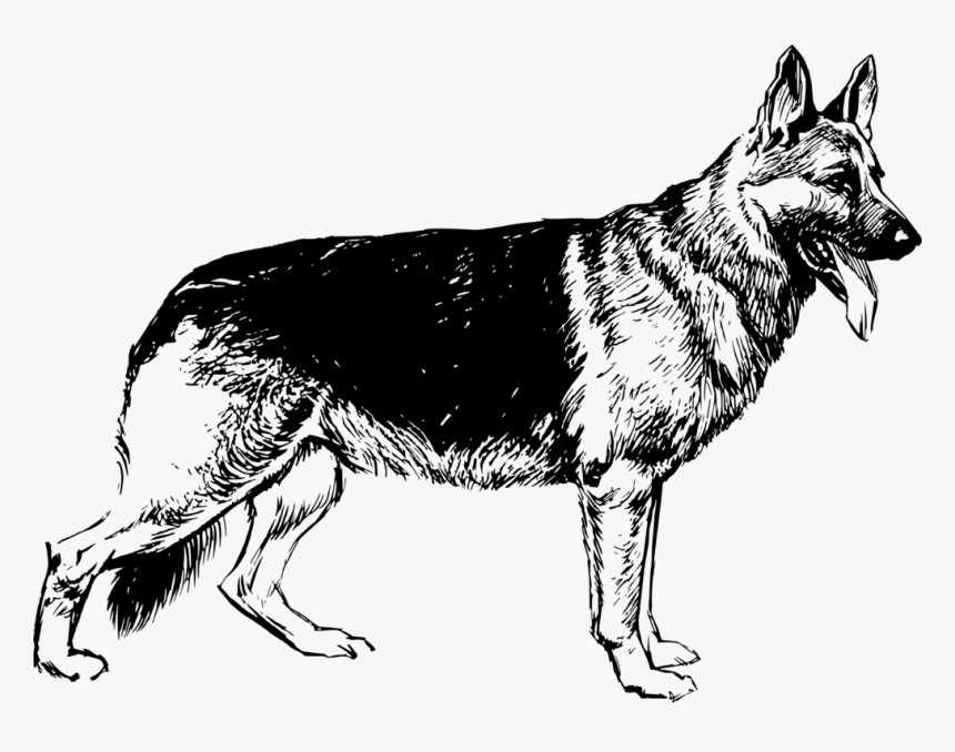 Download German Shepherd Black And White Clipart Nomer 7