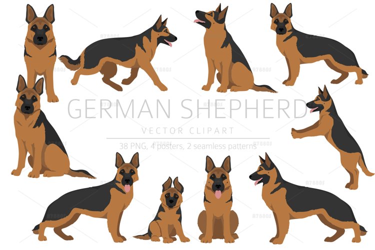 Detail German Shepherd Clip Art Nomer 55