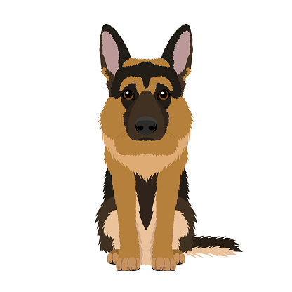 Detail German Shepherd Clipart Free Nomer 12