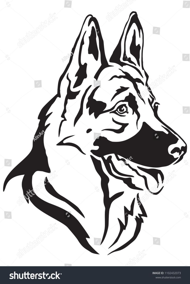 Detail German Shepherd Clipart Free Nomer 51