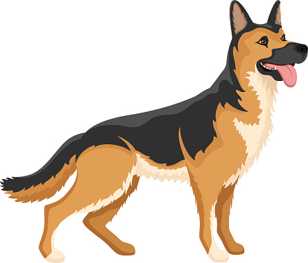 Detail German Shepherd Clipart Free Nomer 6