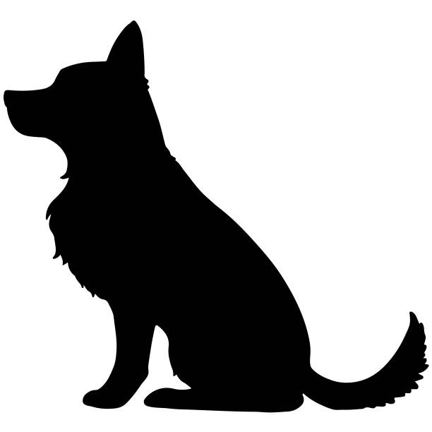 Detail German Shepherd Clipart Silhouette Nomer 20