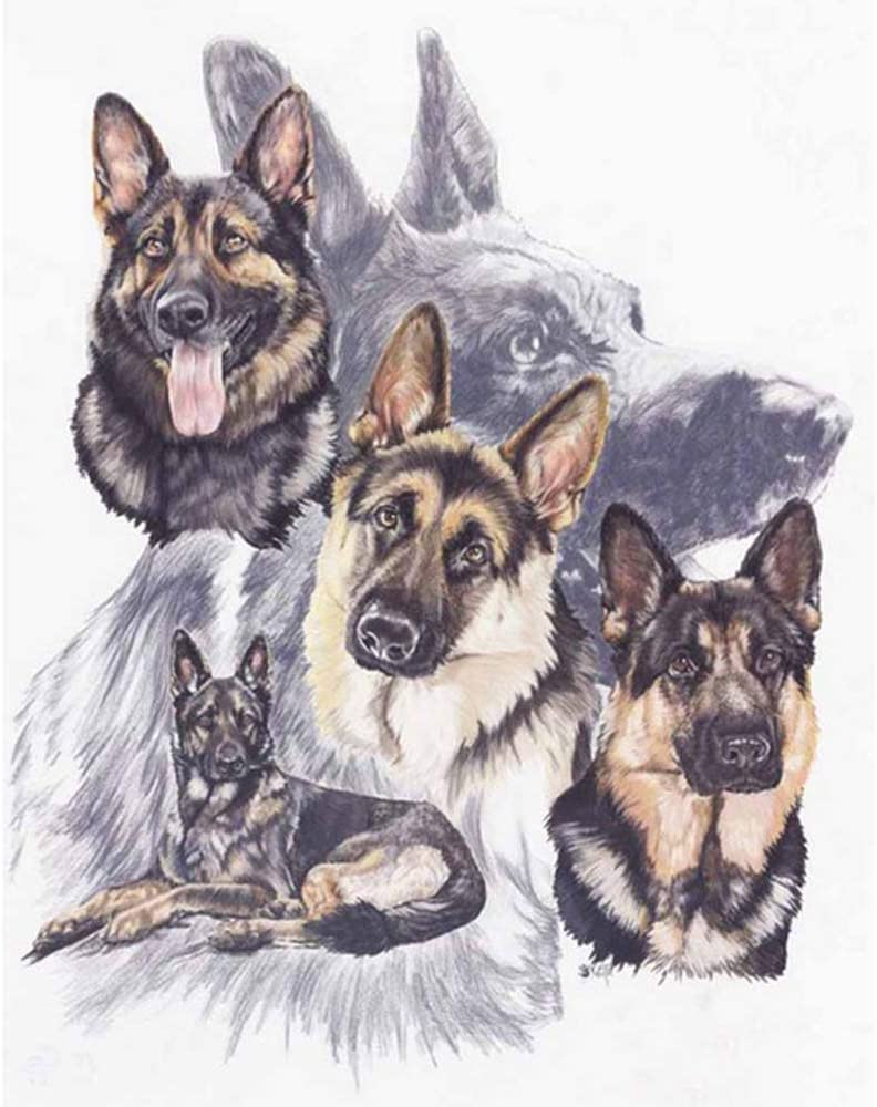 Detail German Shepherd Diamond Painting Nomer 12