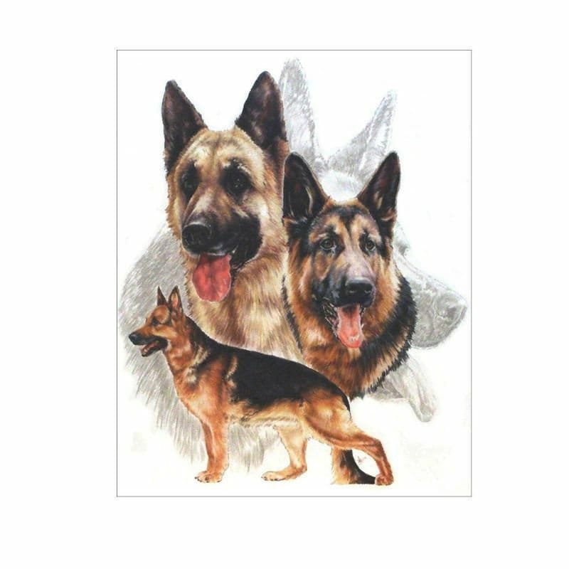 Detail German Shepherd Diamond Painting Nomer 3