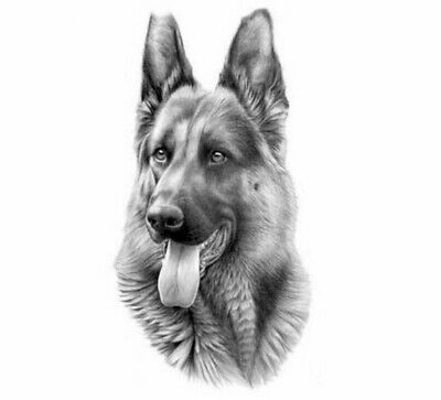 Detail German Shepherd Diamond Painting Nomer 22