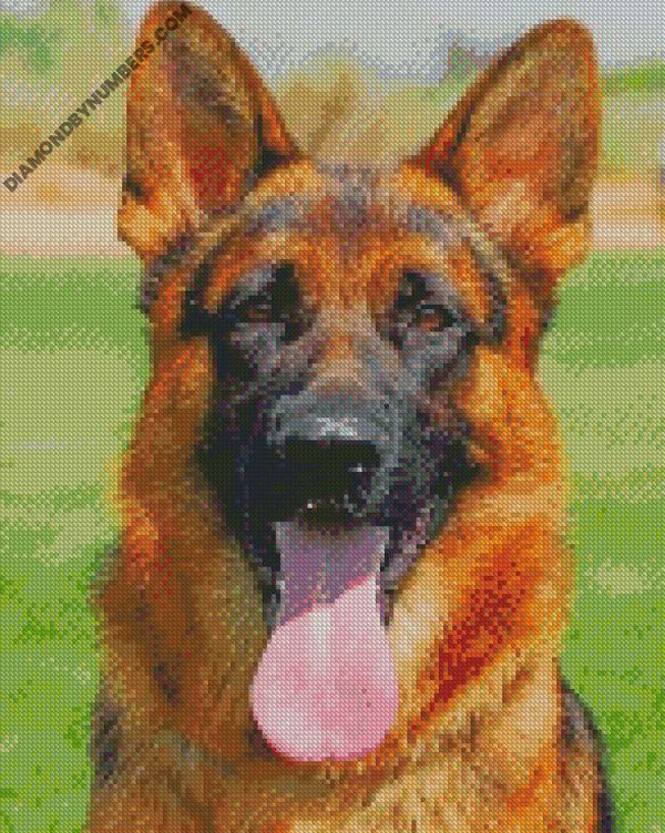 Detail German Shepherd Diamond Painting Nomer 26