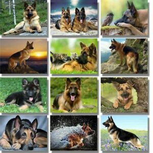 Download German Shepherd Diamond Painting Nomer 36