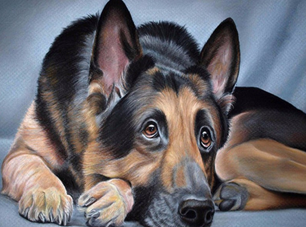 Detail German Shepherd Diamond Painting Nomer 48