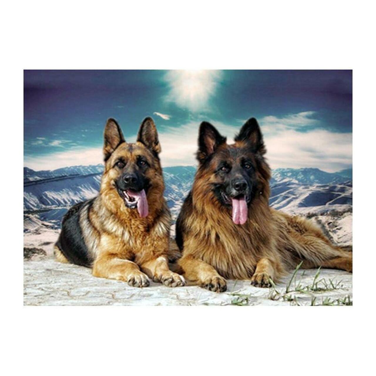 Detail German Shepherd Diamond Painting Nomer 9