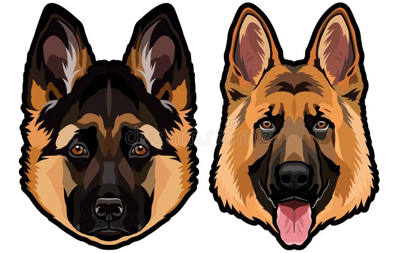 German Shepherd Face Clipart - KibrisPDR