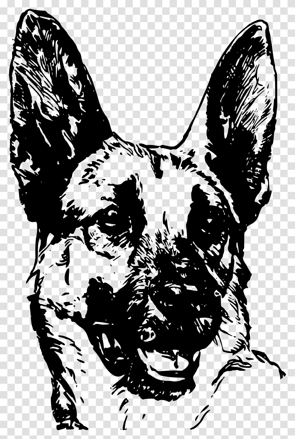 Detail German Shepherd Face Clipart Nomer 20