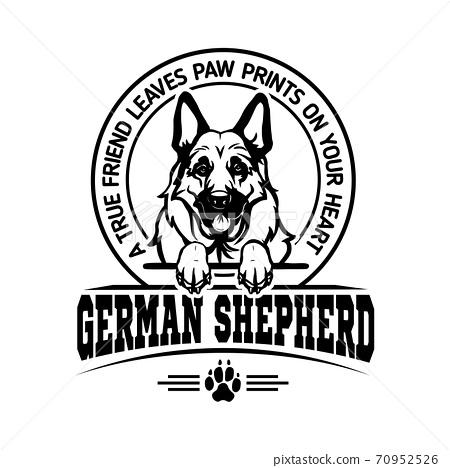 Detail German Shepherd Face Clipart Nomer 22