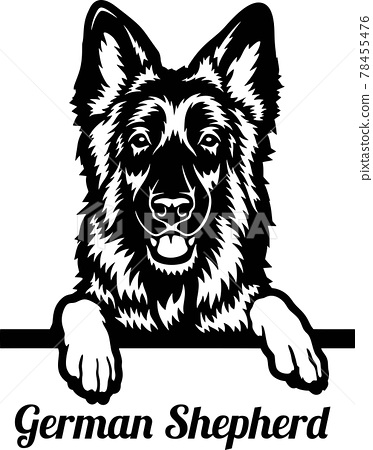 Detail German Shepherd Face Clipart Nomer 29