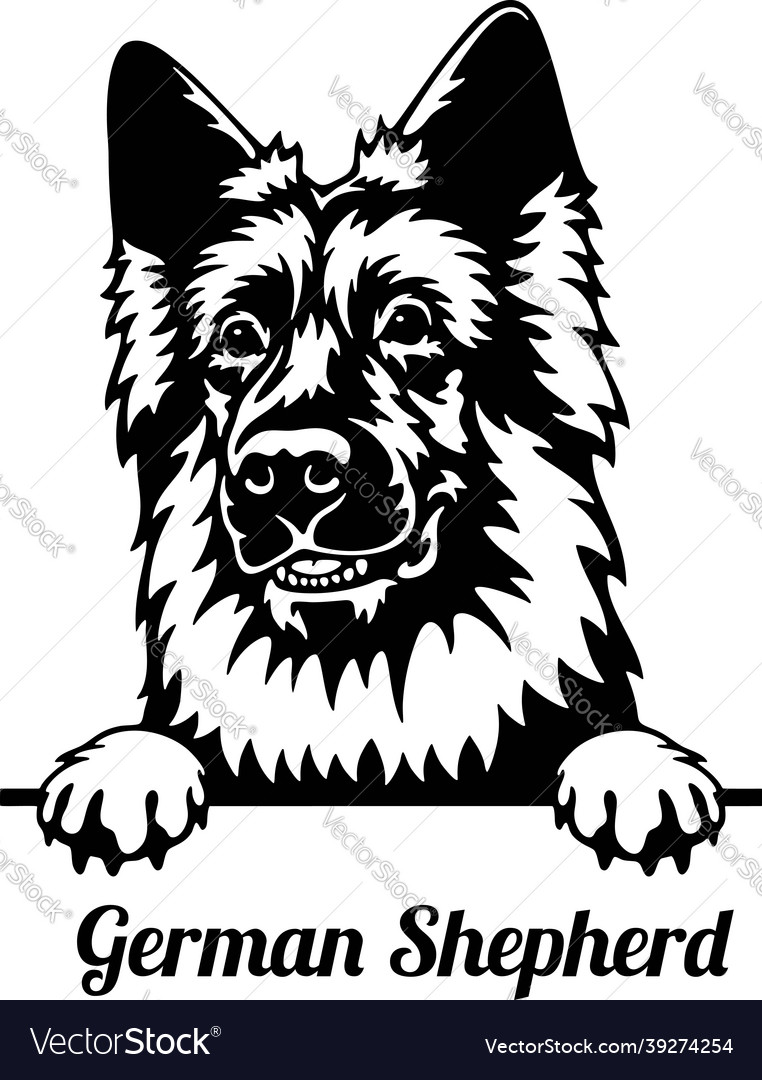 Detail German Shepherd Face Clipart Nomer 42