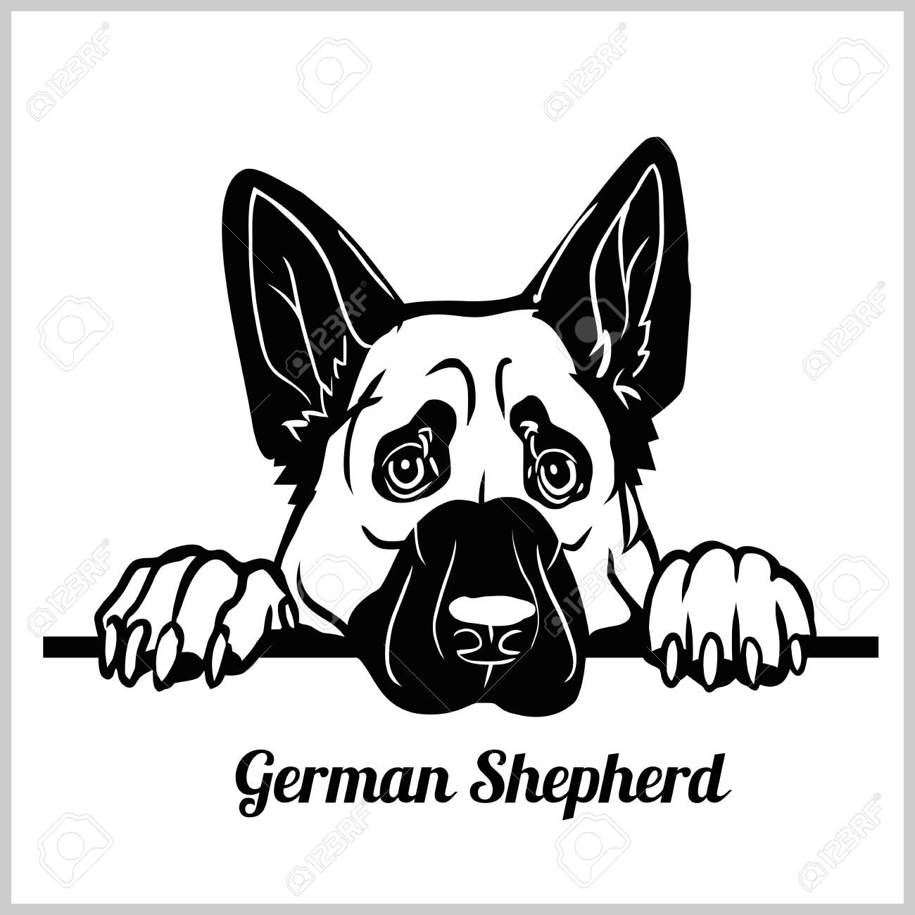 Detail German Shepherd Face Clipart Nomer 51