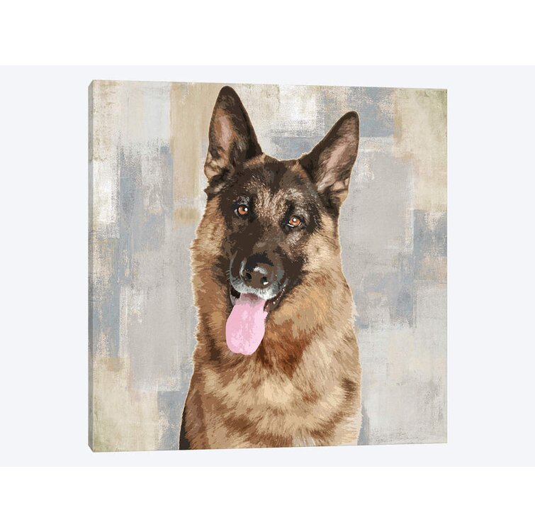 Detail German Shepherd Picture Gallery Nomer 45