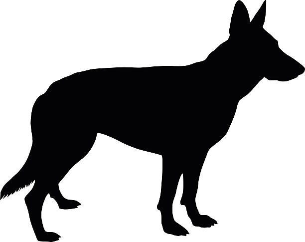 Detail German Shepherd Police Silhouette Nomer 11