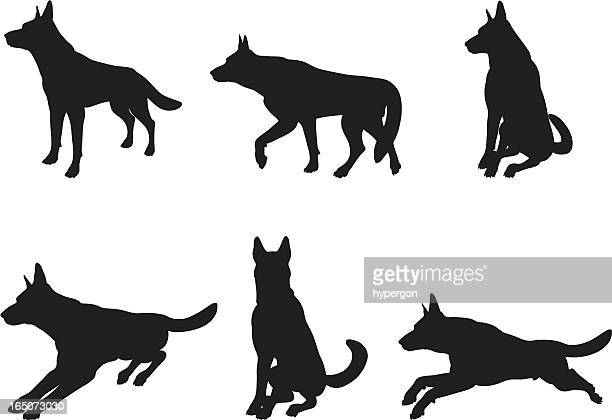 Detail German Shepherd Police Silhouette Nomer 31